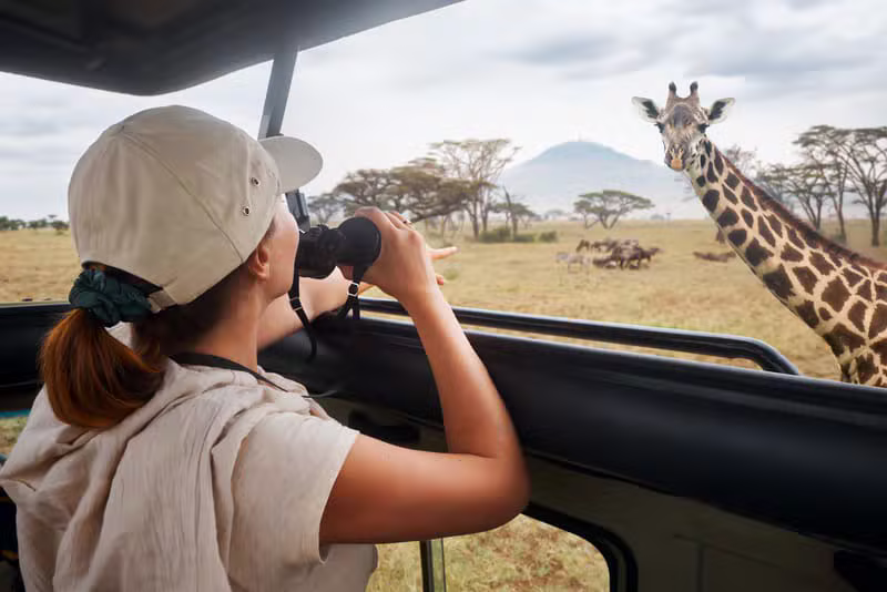Safari Tour
