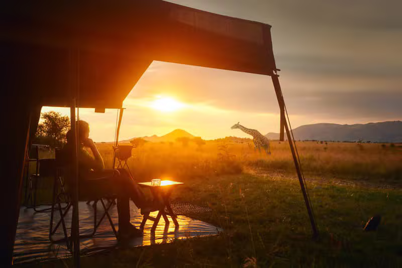 Safari adventure