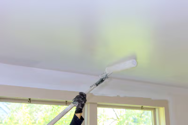 Professional interior painting upgrade / Servicio profesional de pintura interior