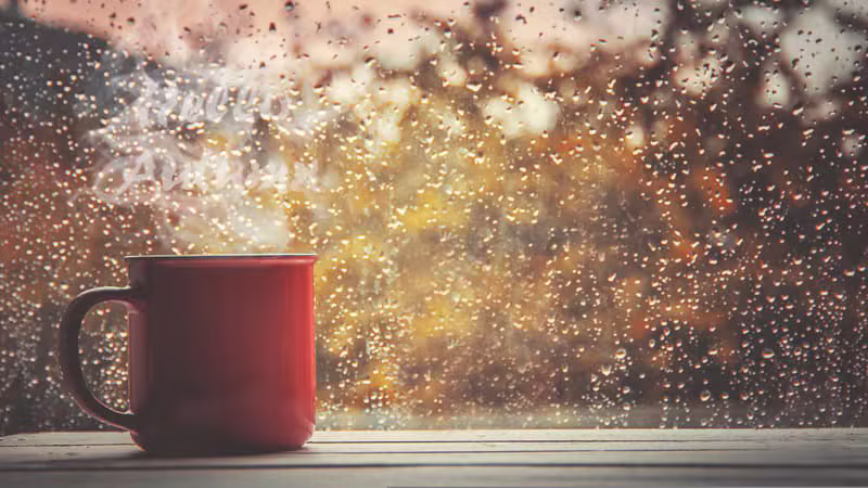 Cozy calming tea cup on a desk by a bright window