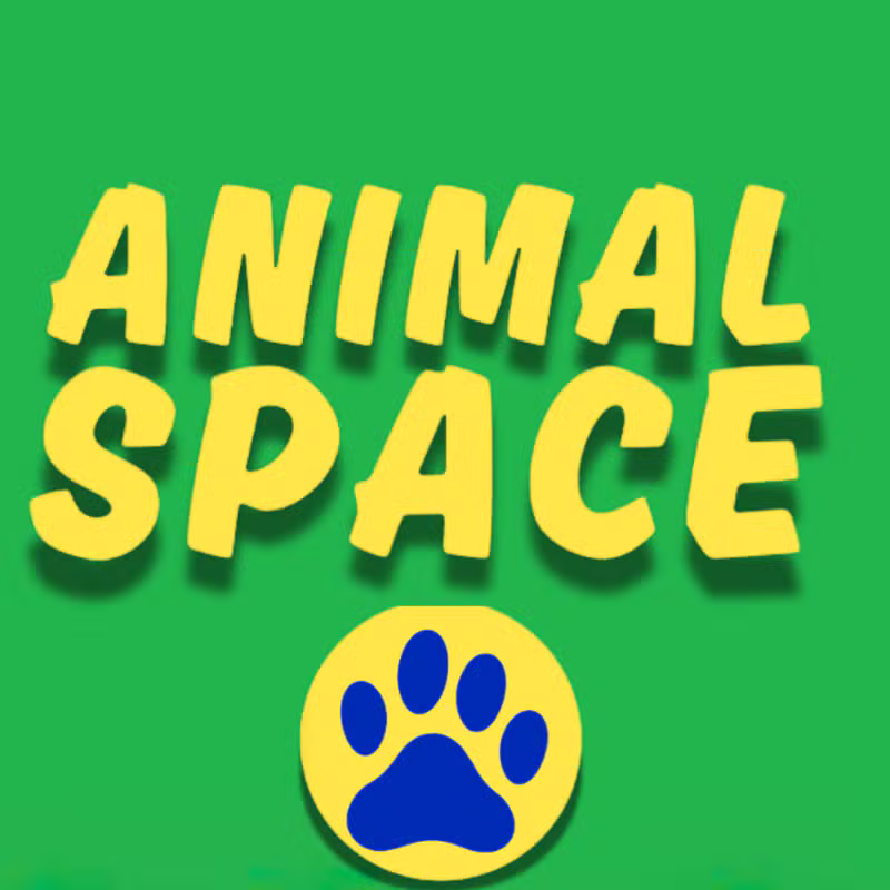 Animal Space