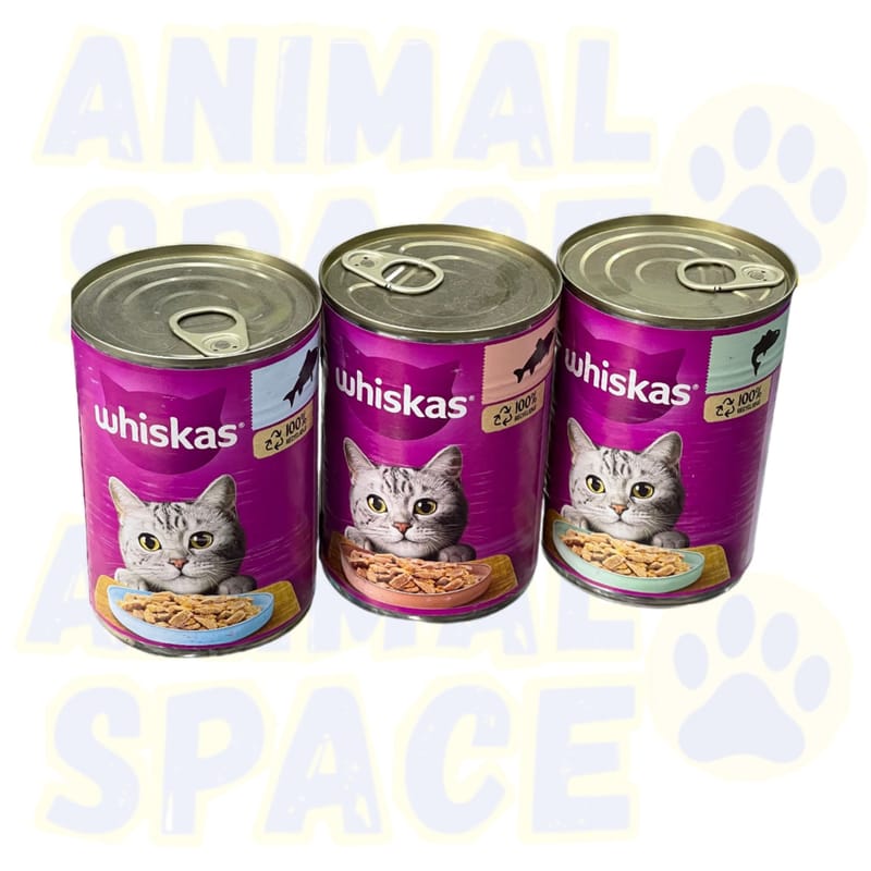 Conserve whiskas gelee