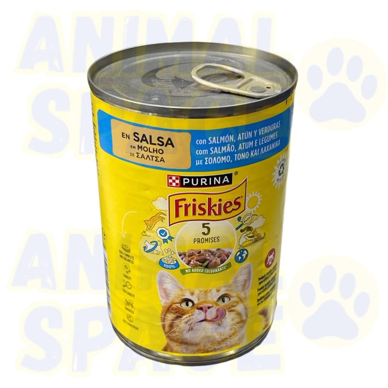 Conserve Friskies Salsa