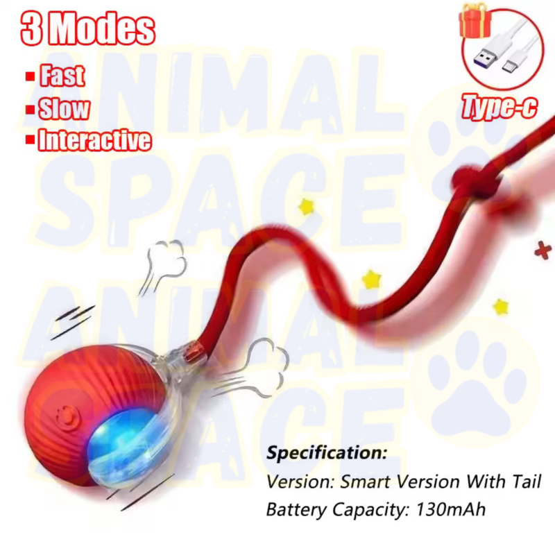Ballon electric p02