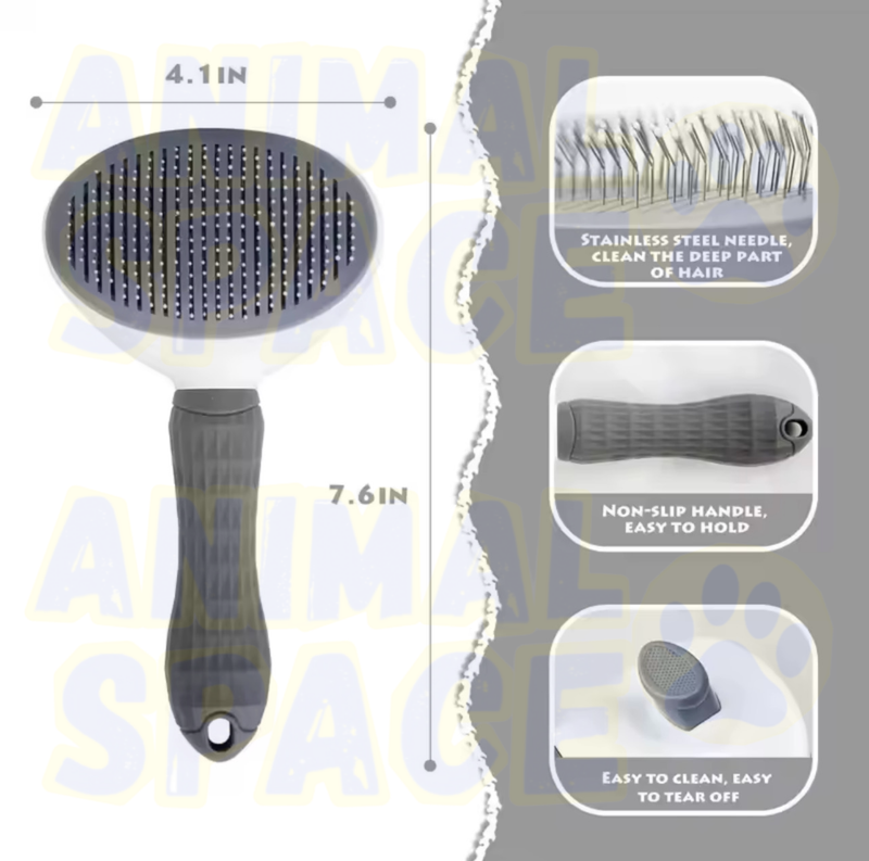 Brosse boutton