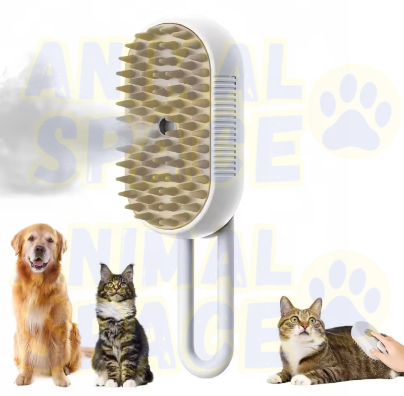 Brosse vapeur  