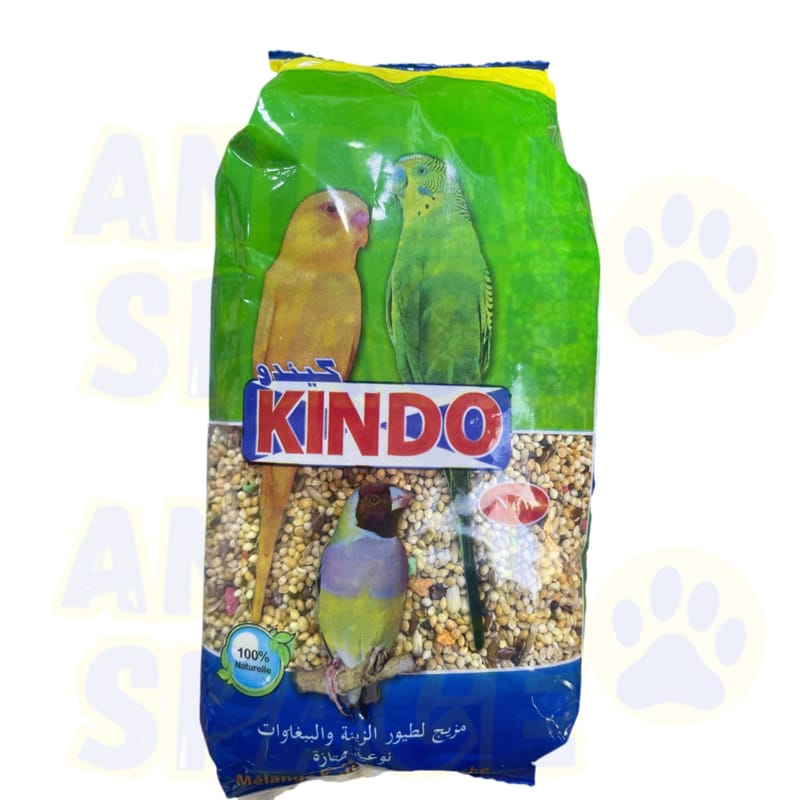 Kindo puruche /calopsitte/mondara/Inséparable