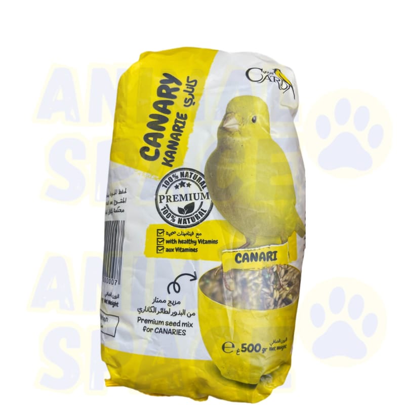 Cardy Canary