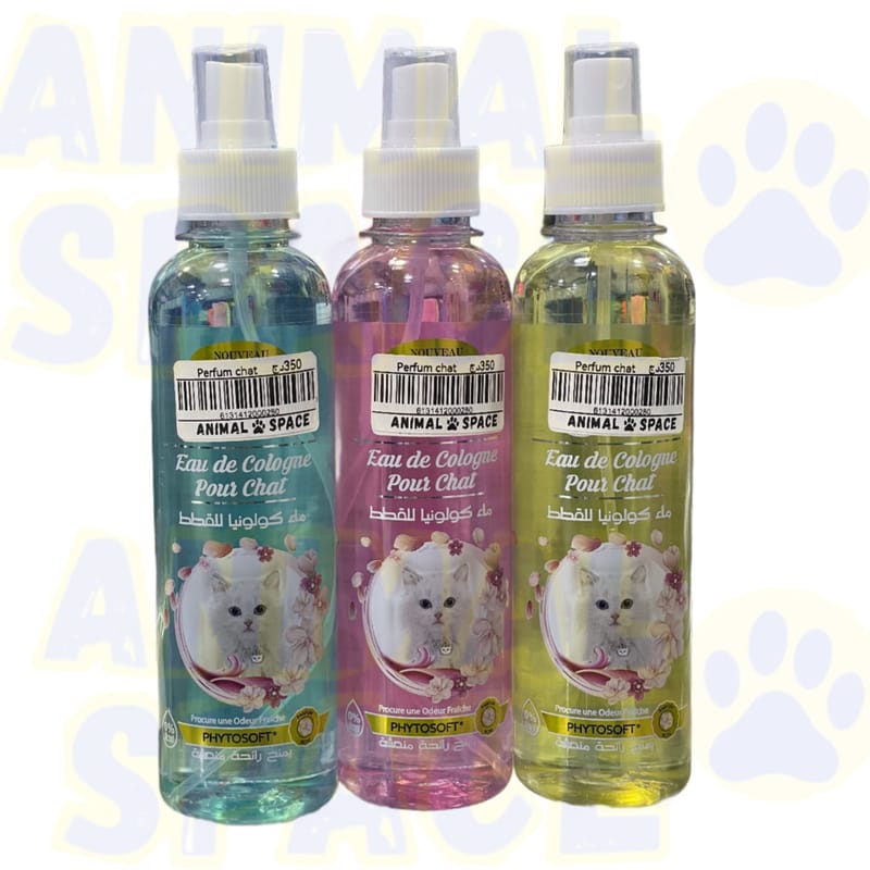 parfum de corps chat