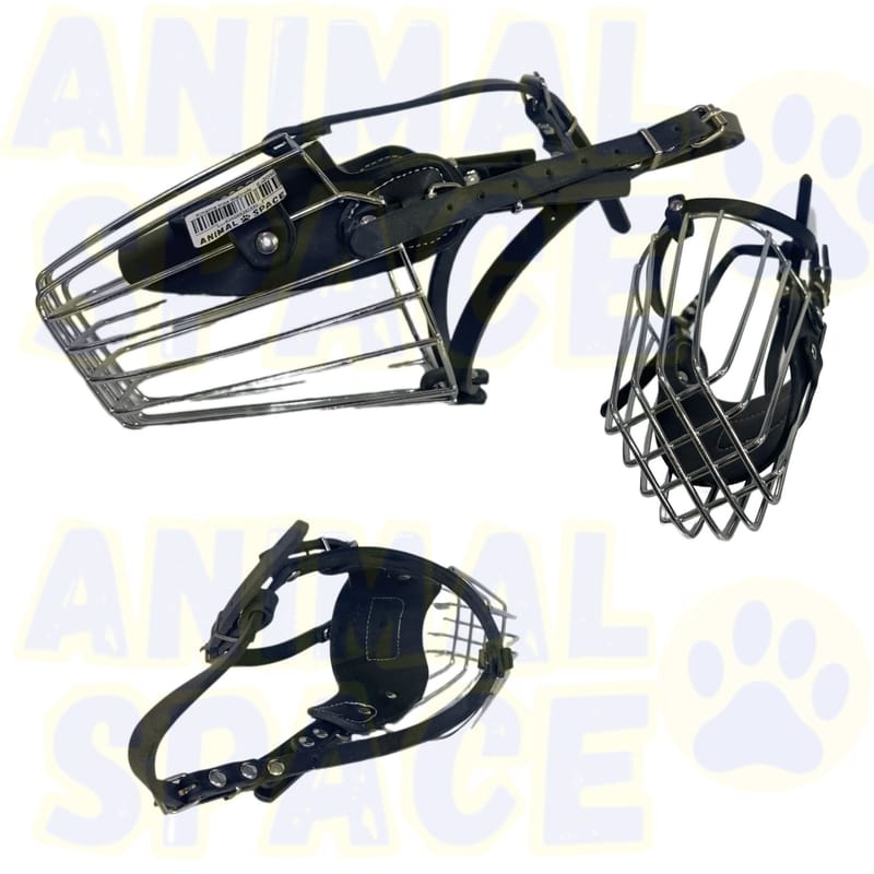 muselière inox pour chien Malinois