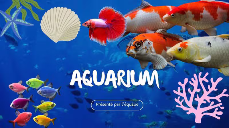 Aquariums et poissons / حوض سمك
