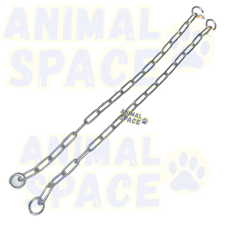 Collier a mai chien inox ts11 