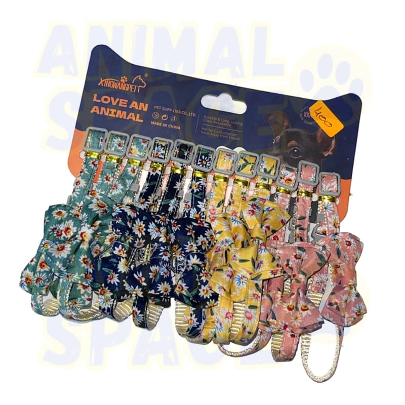 Collier chat  
