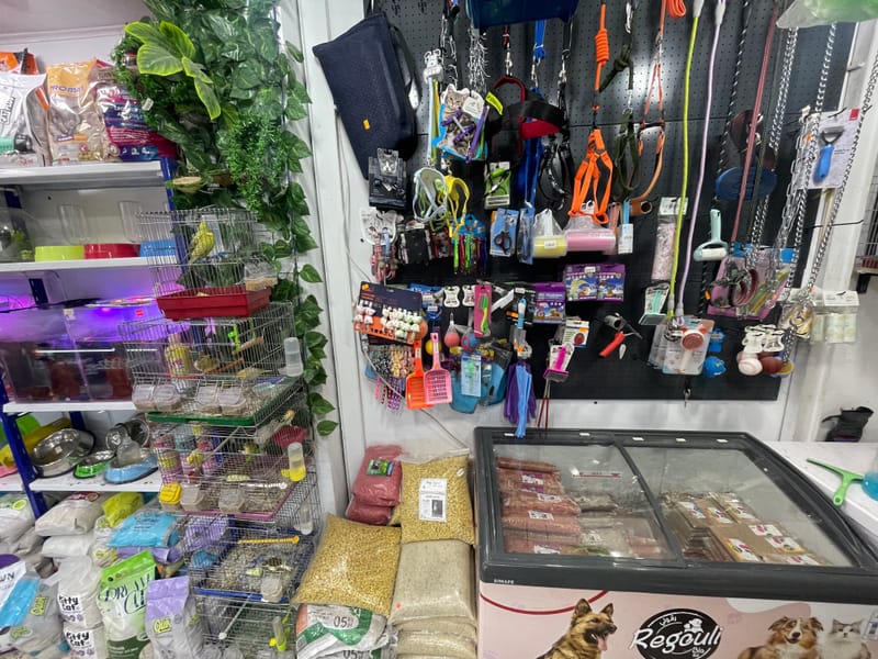 قسم الإكسسوارات