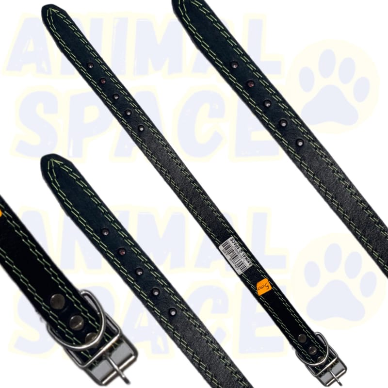 Collier chiot  