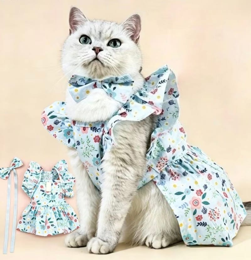 Rope Chat Bleu ciel taille S 