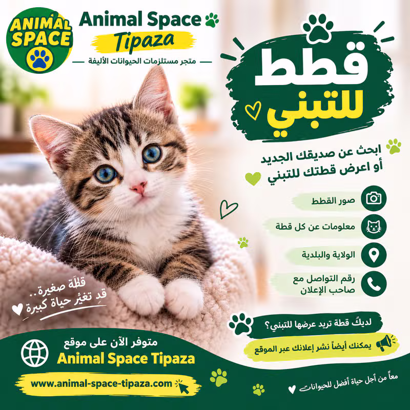 قطط للتبني - Animal Space Tipaza