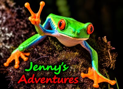 Jenny's Adventures