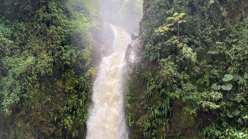 La Paz Waterfall Gardens
