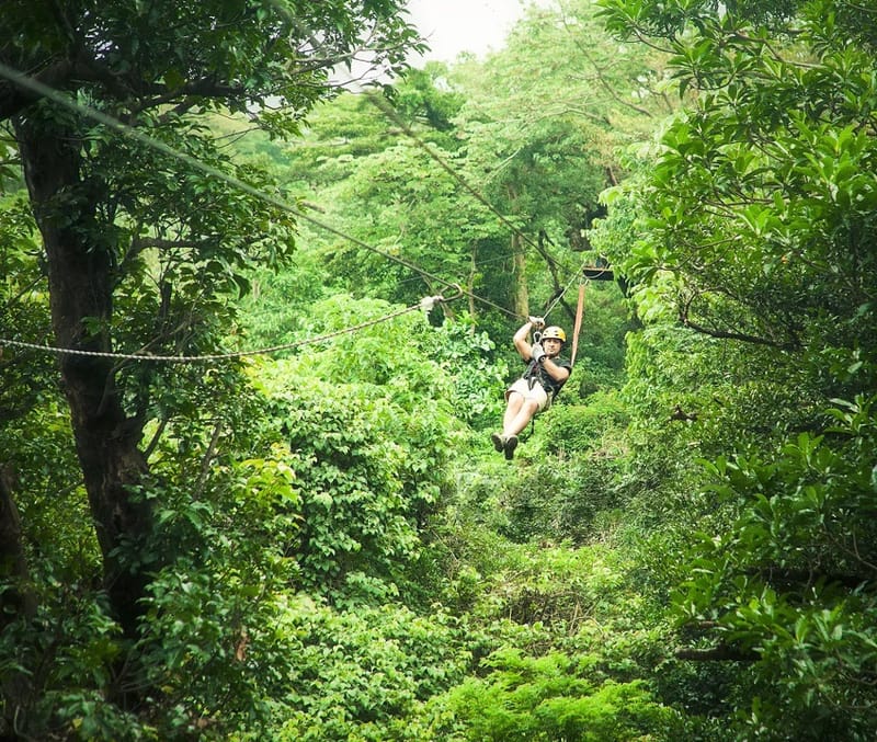 Three packages available, how adventurous you want to be is your choice