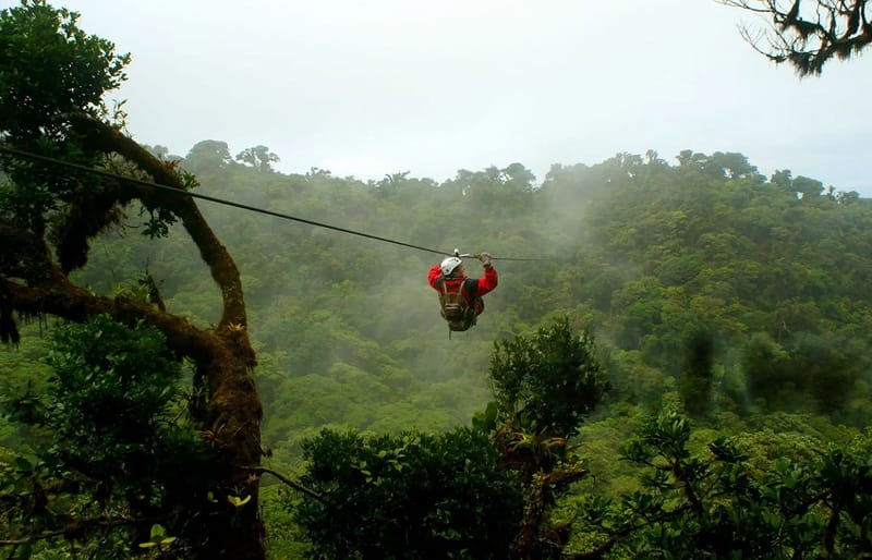Three packages available, how adventurous you want to be is your choice