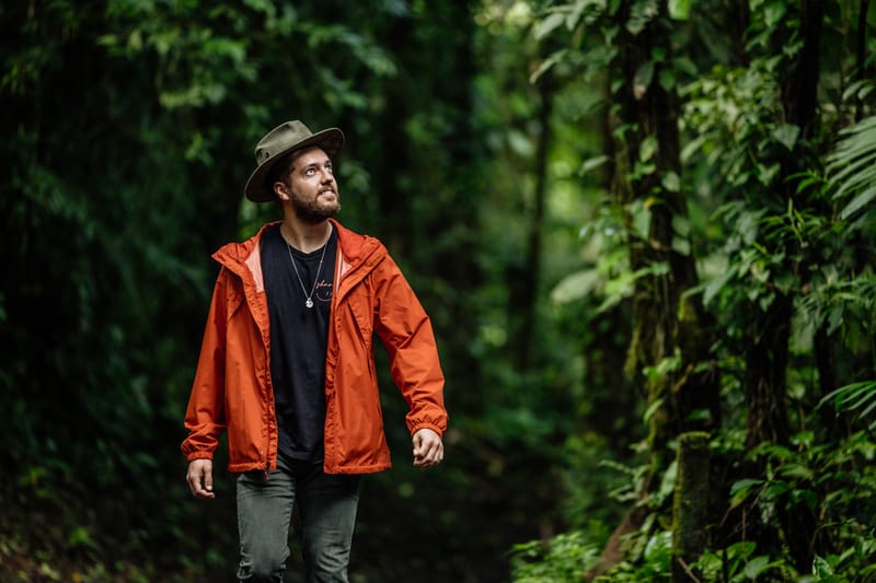 Treetop walk on hanging bridges, and Rainforest trails