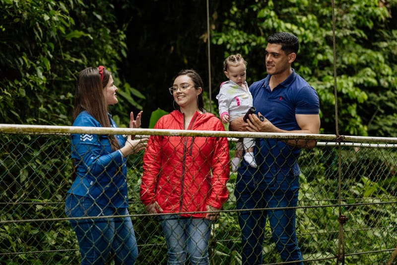 Treetop walk on hanging bridges, and Rainforest trails