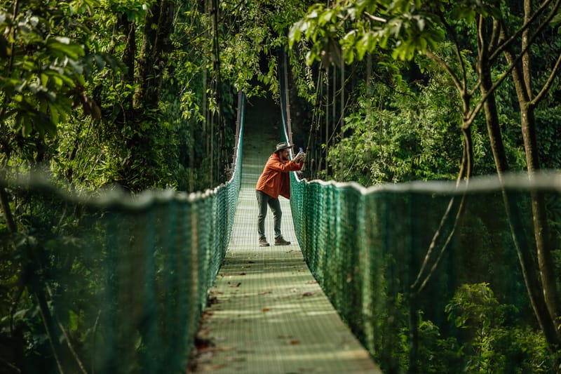 Treetop walk on hanging bridges, and Rainforest trails