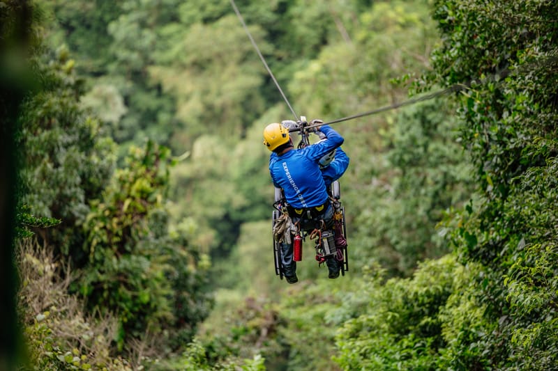 Zip Lines