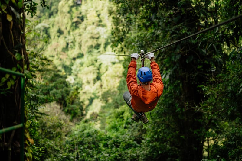 Zip Lines