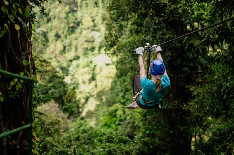 Zip Lines