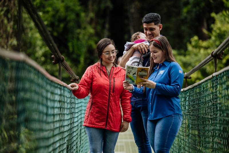 Treetop walk on hanging bridges, and Rainforest trails