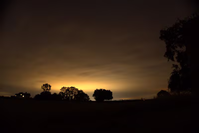 Amber Horizon