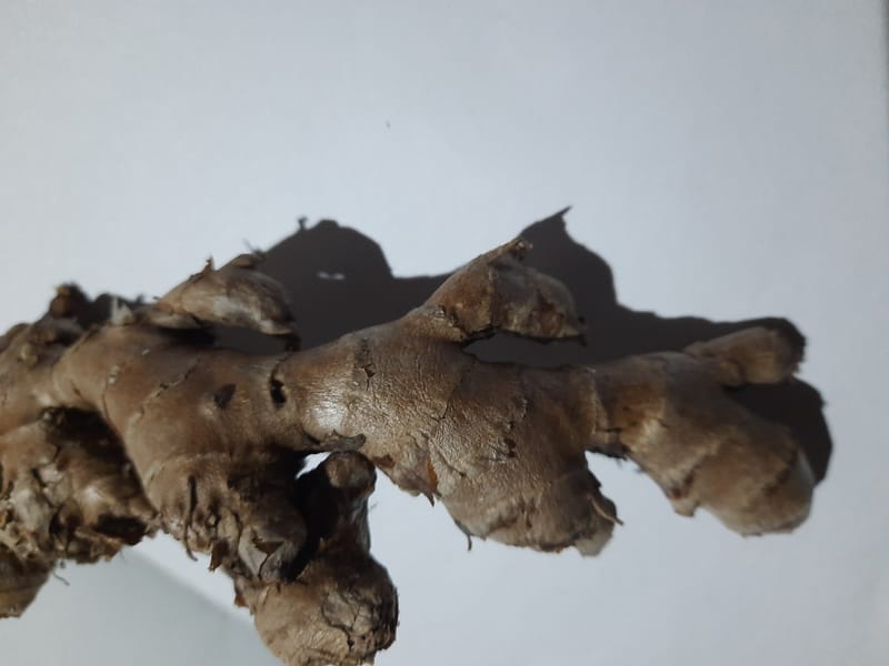 MAKHIR GINGER RHIZOMES