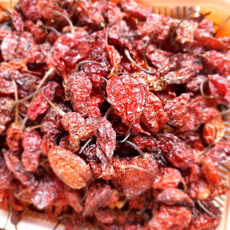 NAGA MIRCHA/NAGA KING CHILLI/BHOOTJALOKIA DRY PODS