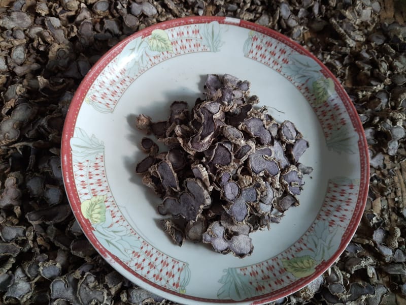 BLACK GINGER/ KEAMPFERIA PARVIFLORA DRY SLICE