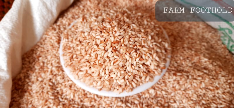 RED STICKY RICE