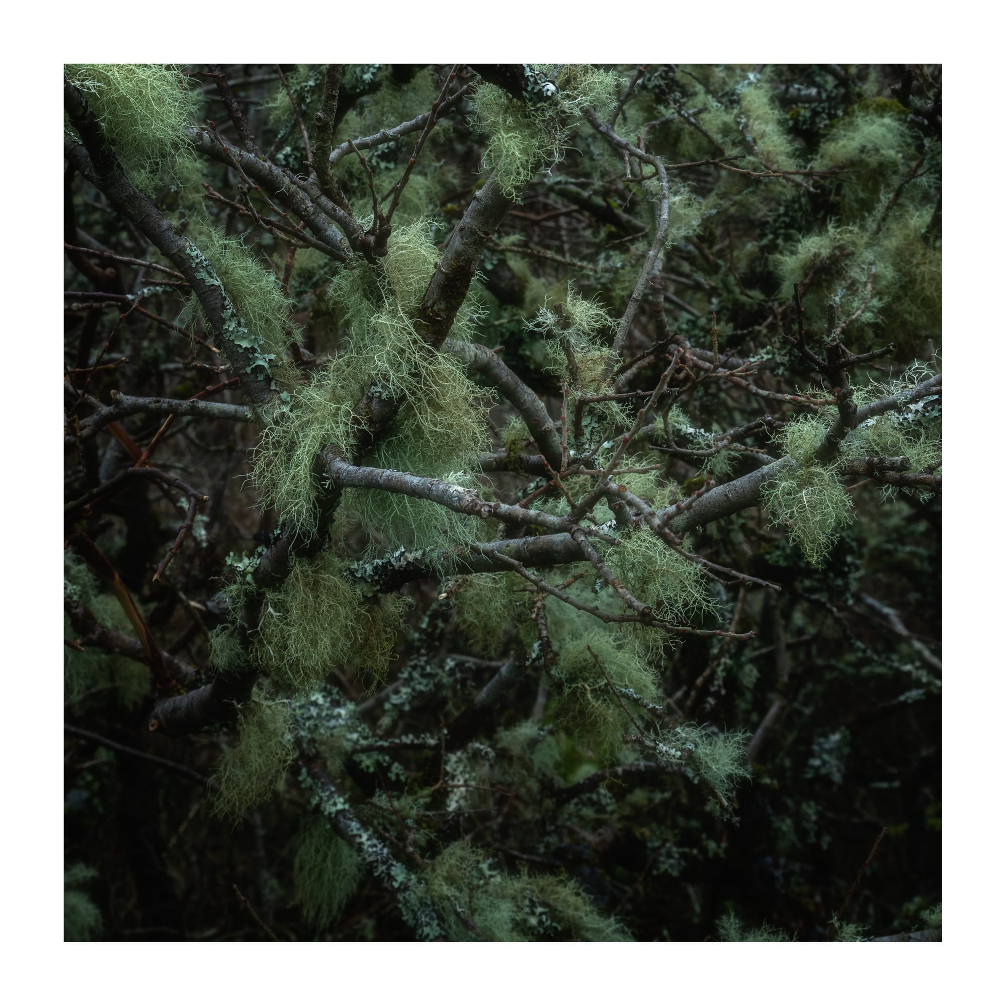 Glencoe & Isle of Skye