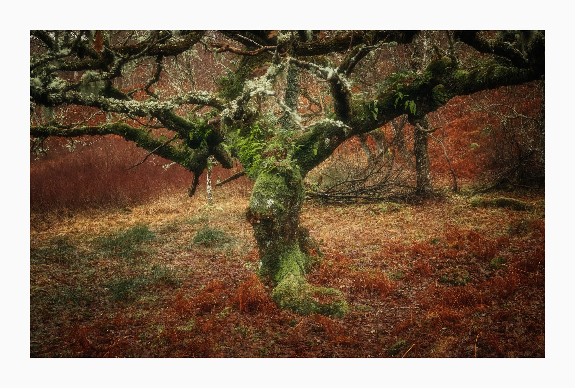 Glencoe & Isle of Skye