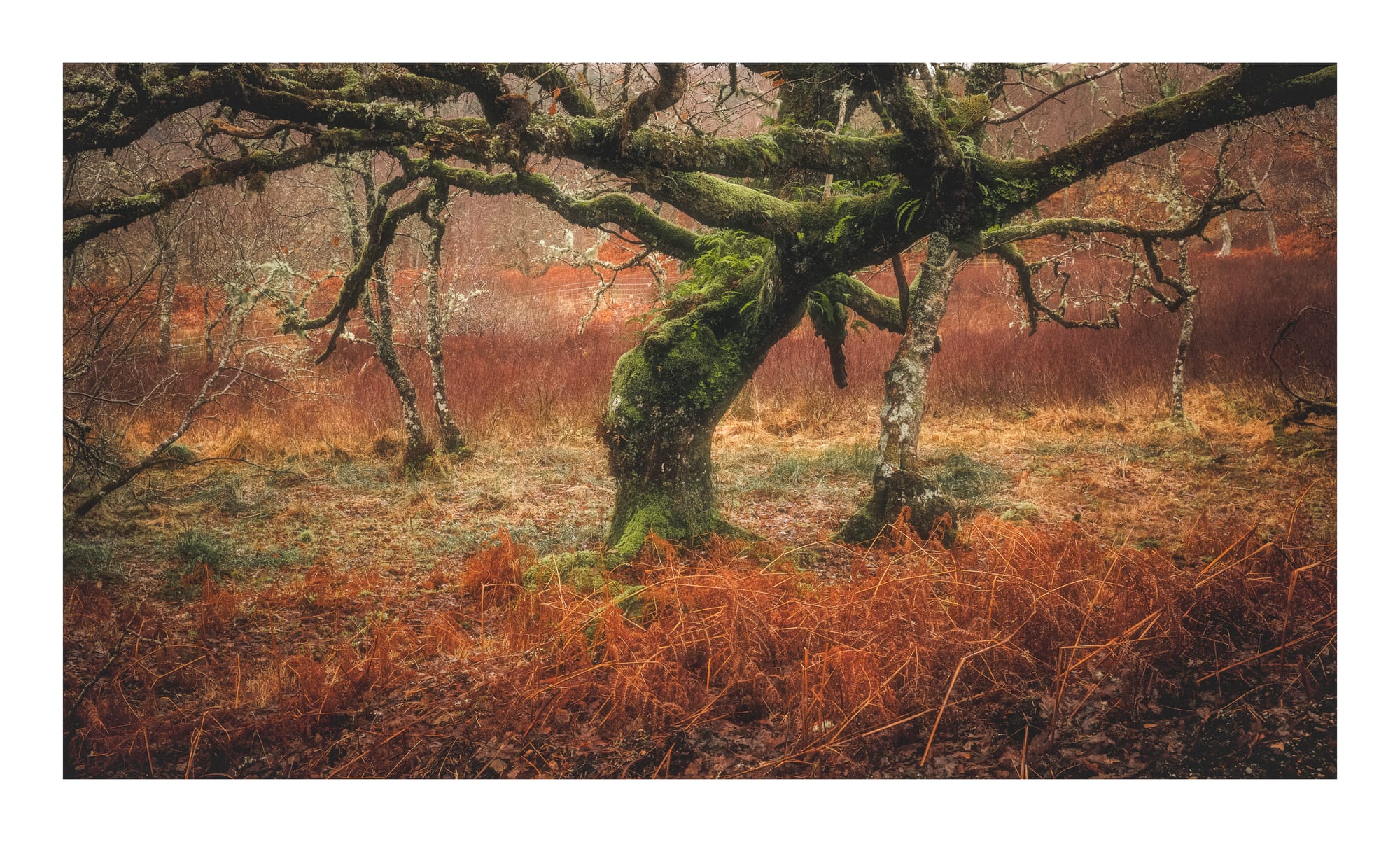 Glencoe & Isle of Skye