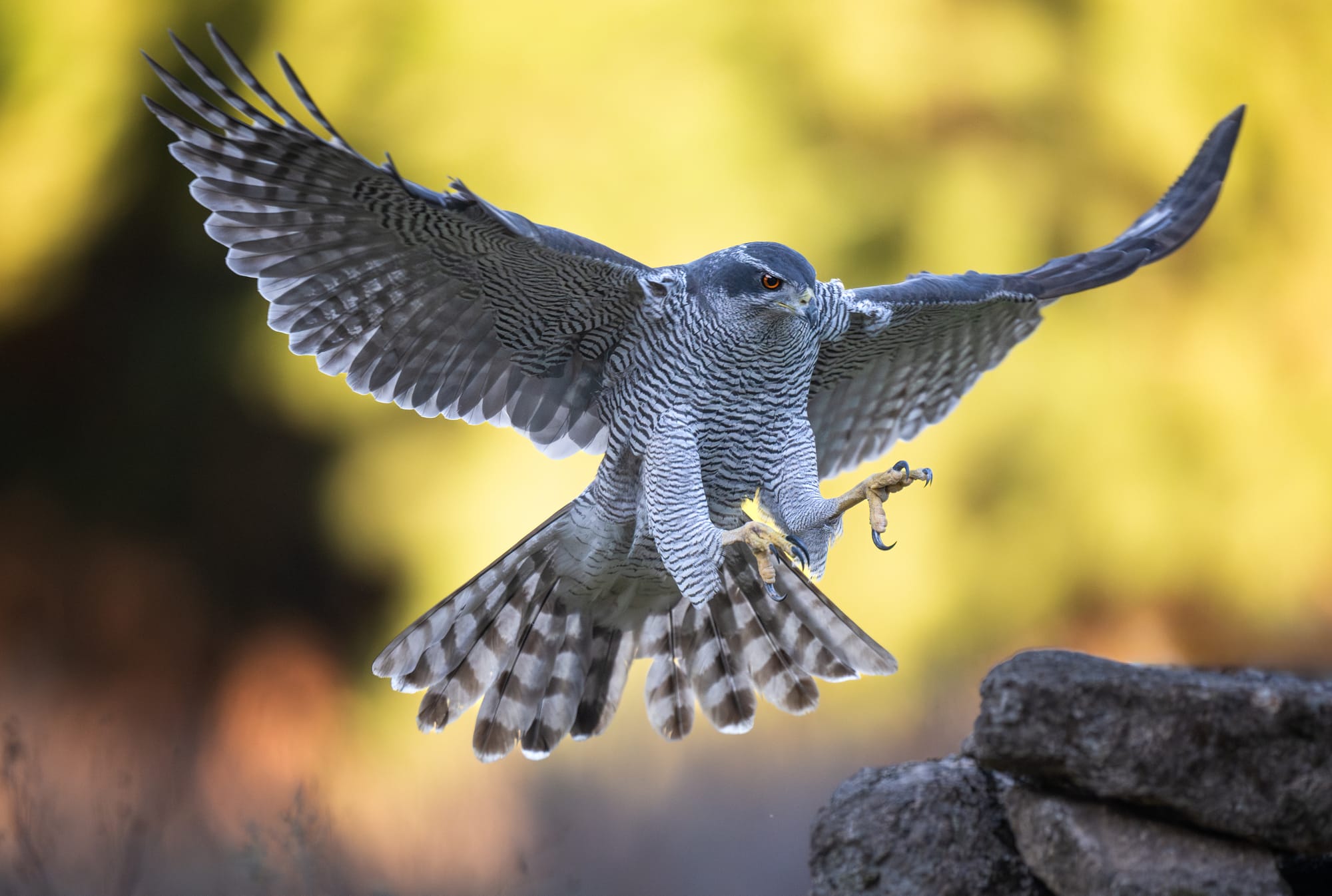 Images from Toledo Province