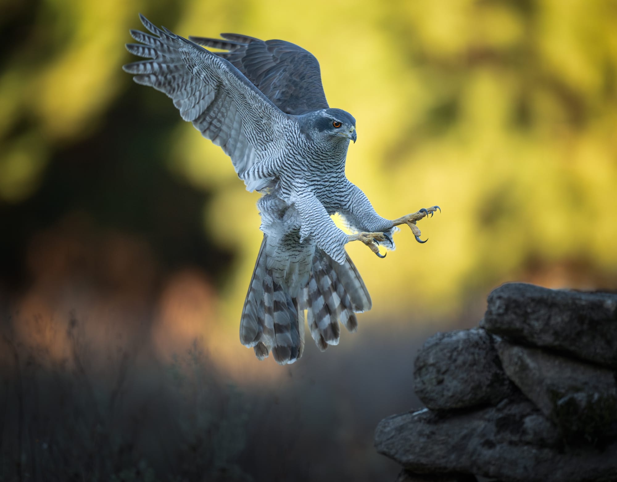 Images from Toledo Province