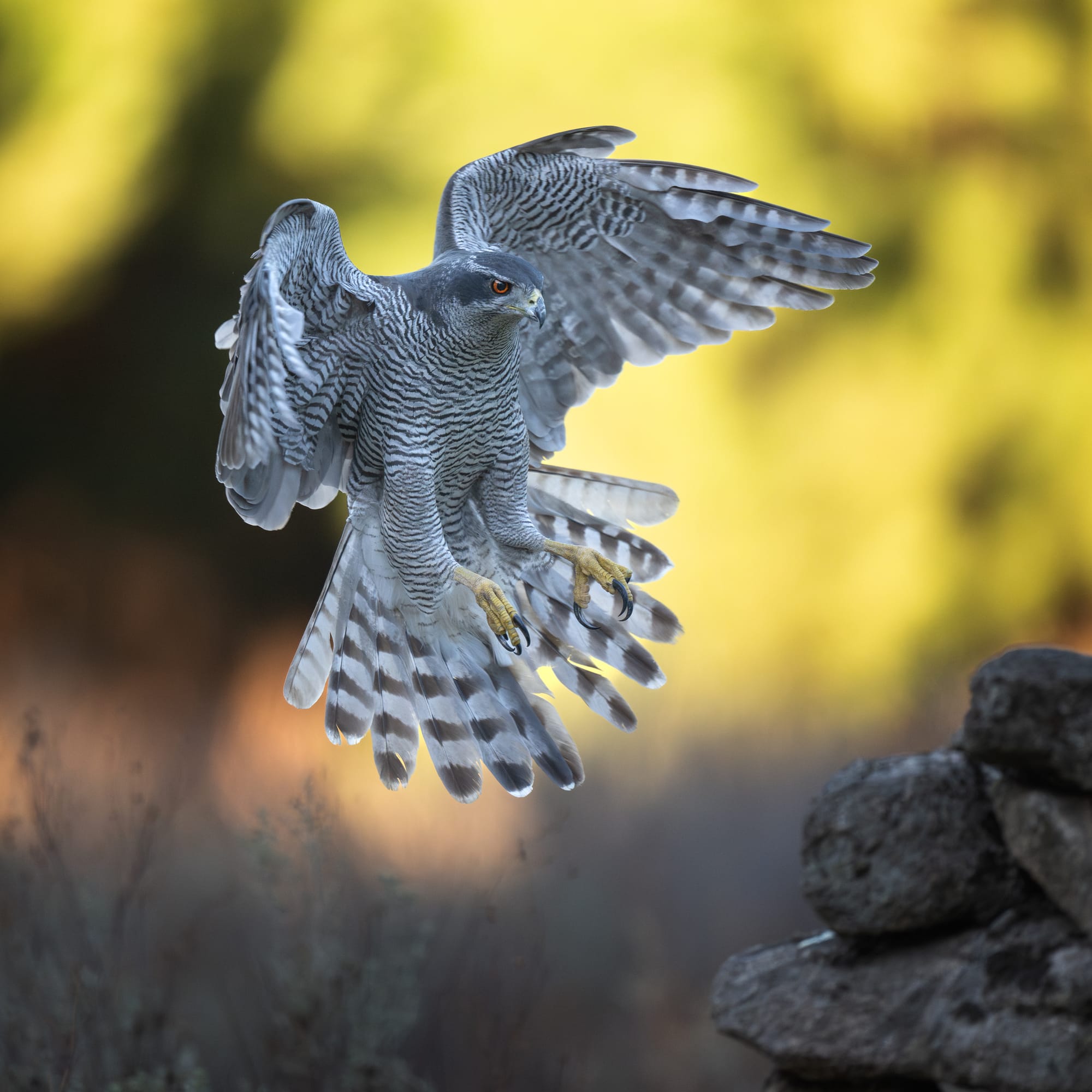 Images from Toledo Province