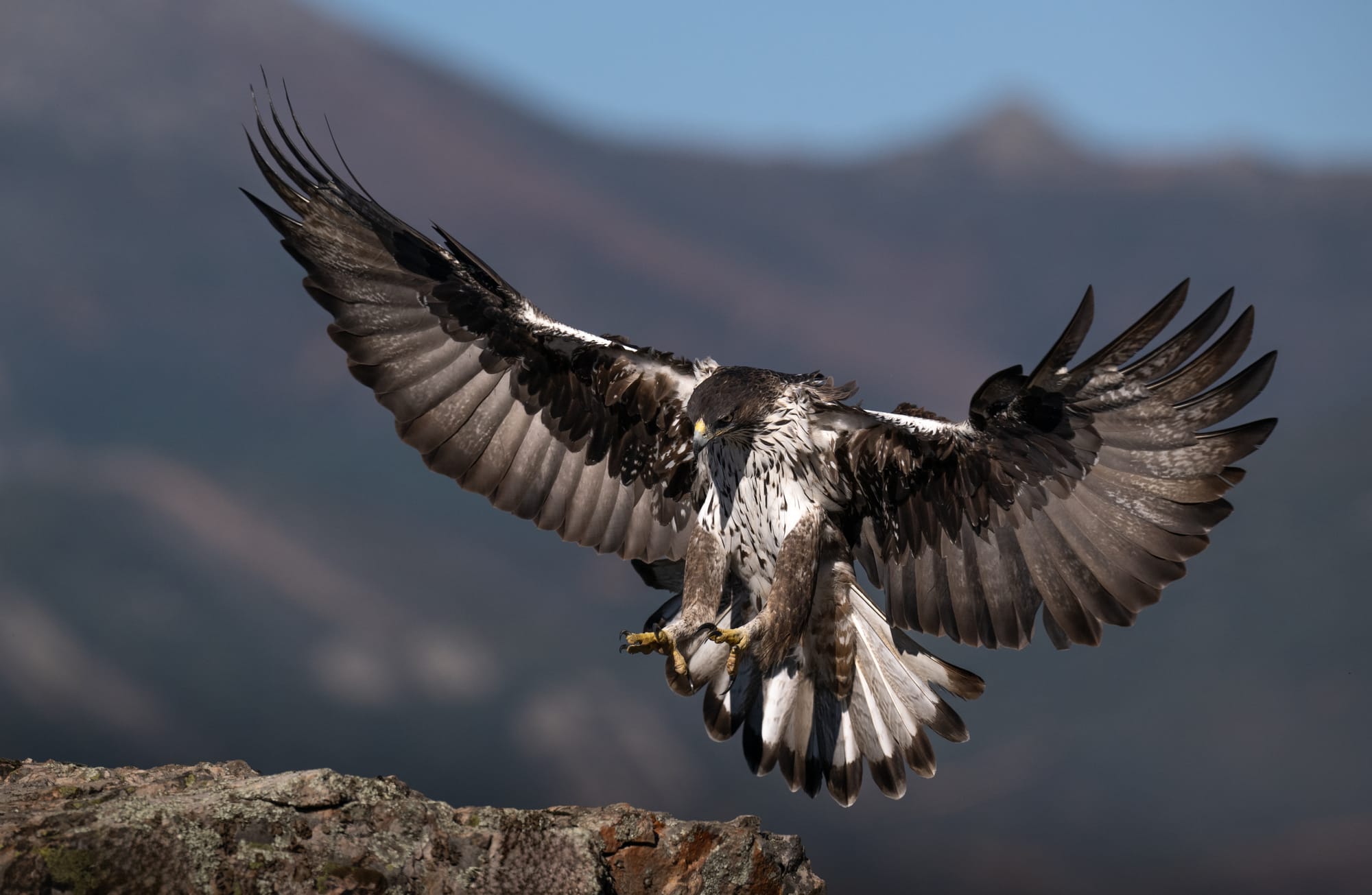 Images from Toledo Province