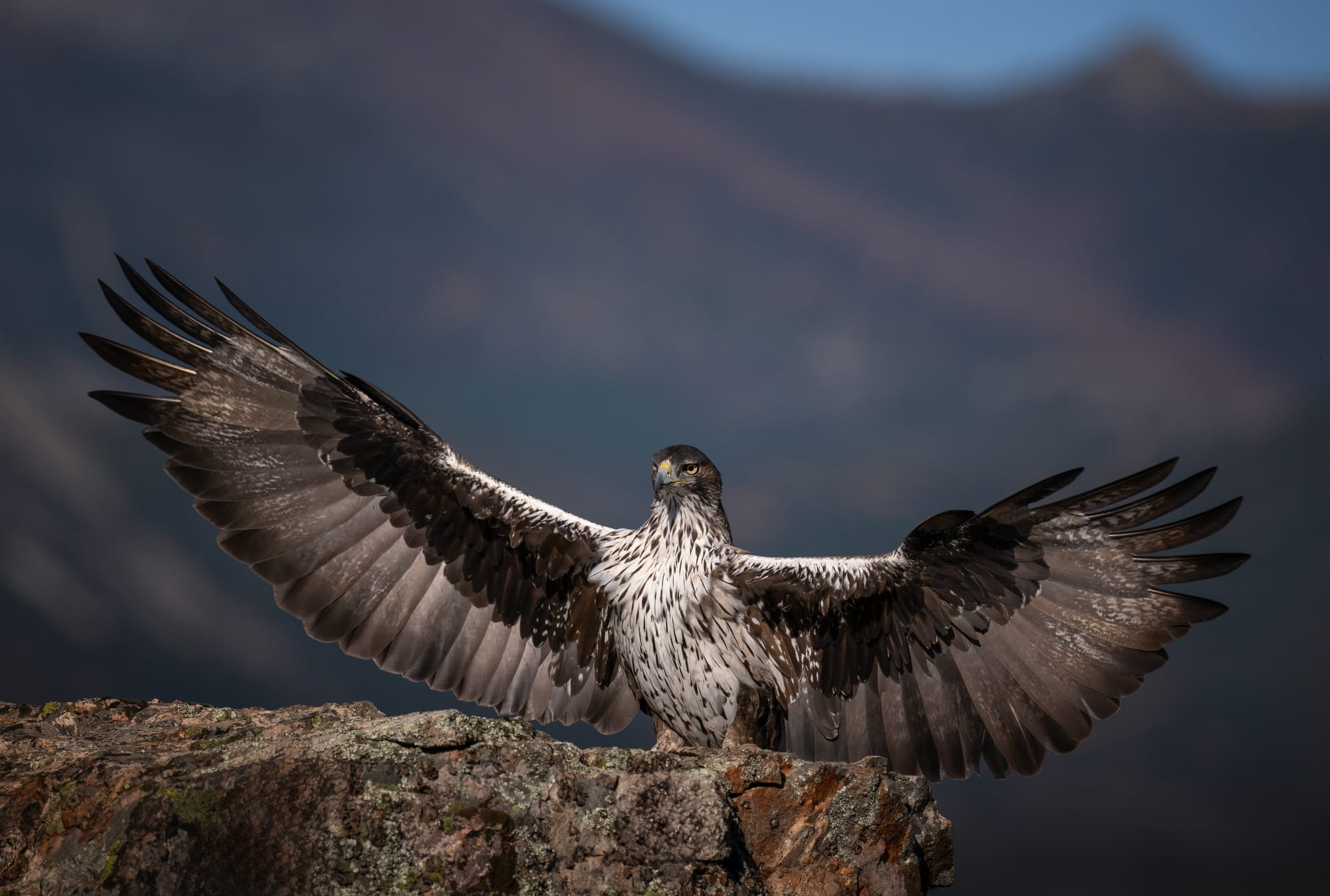 Images from Toledo Province