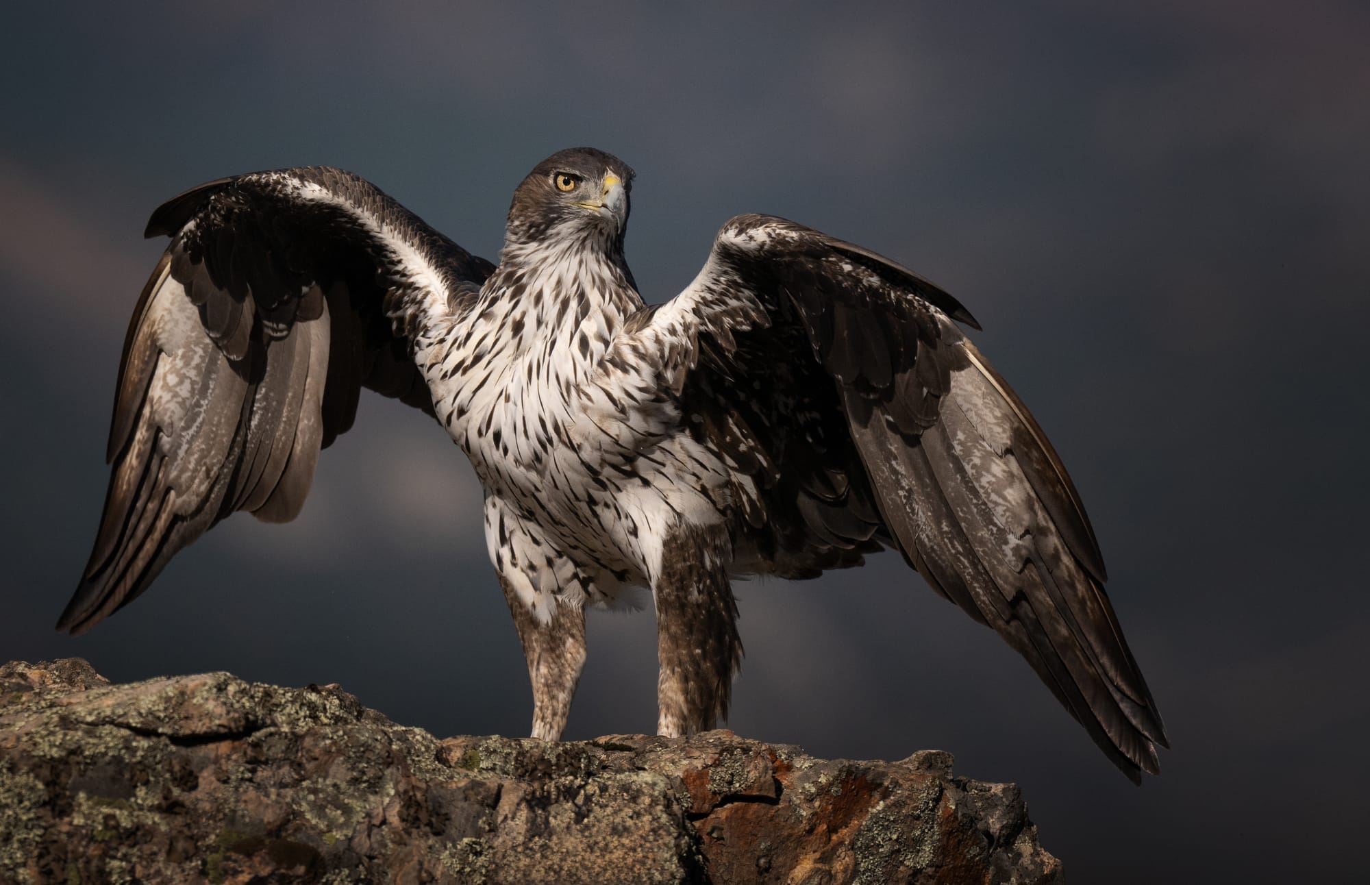 Images from Toledo Province