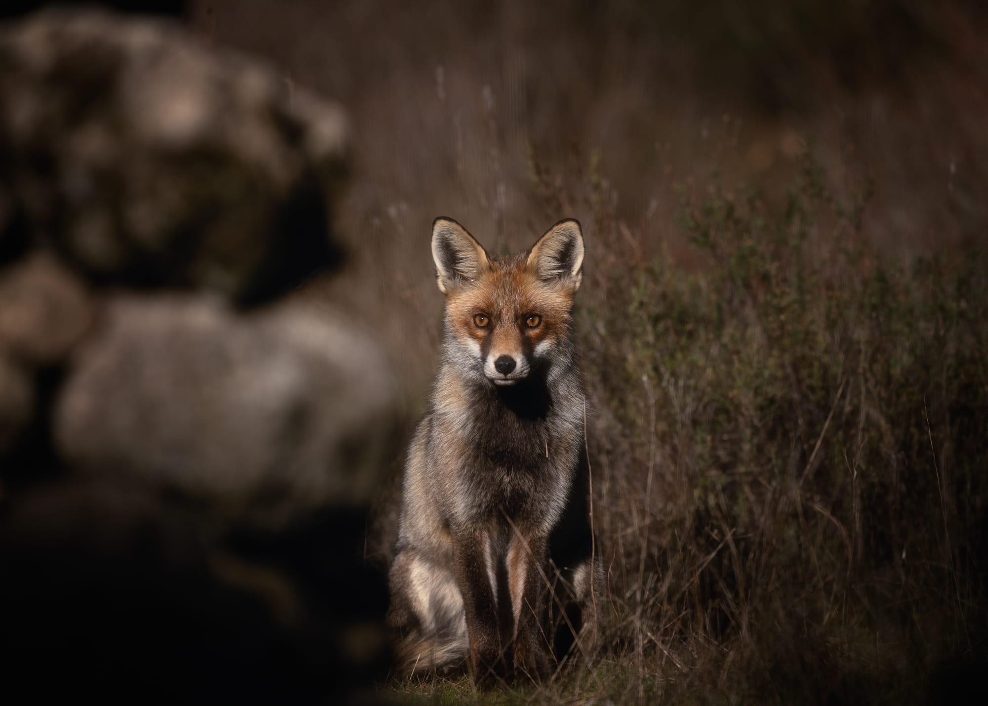 Images from Toledo Province