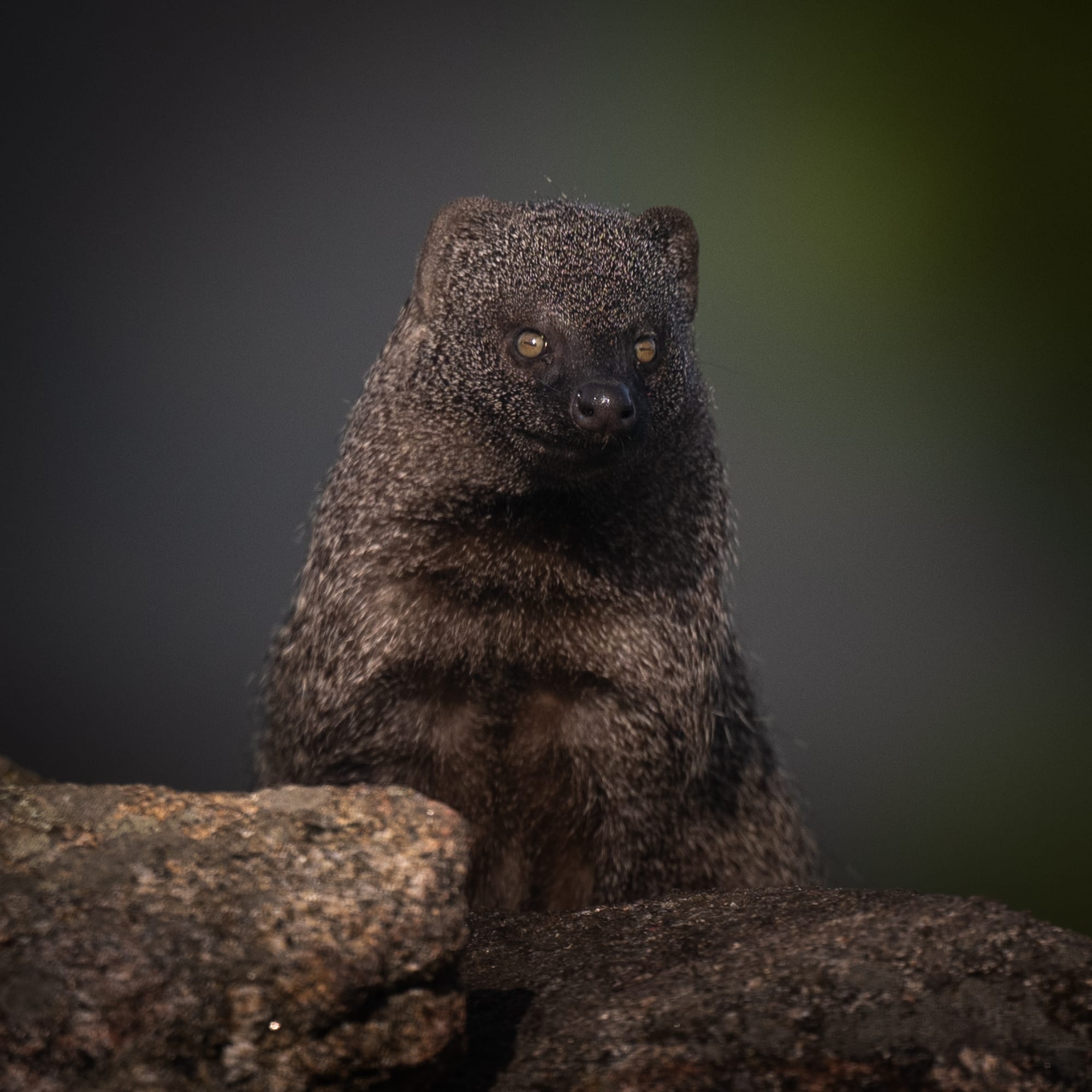 Images from Toledo Province