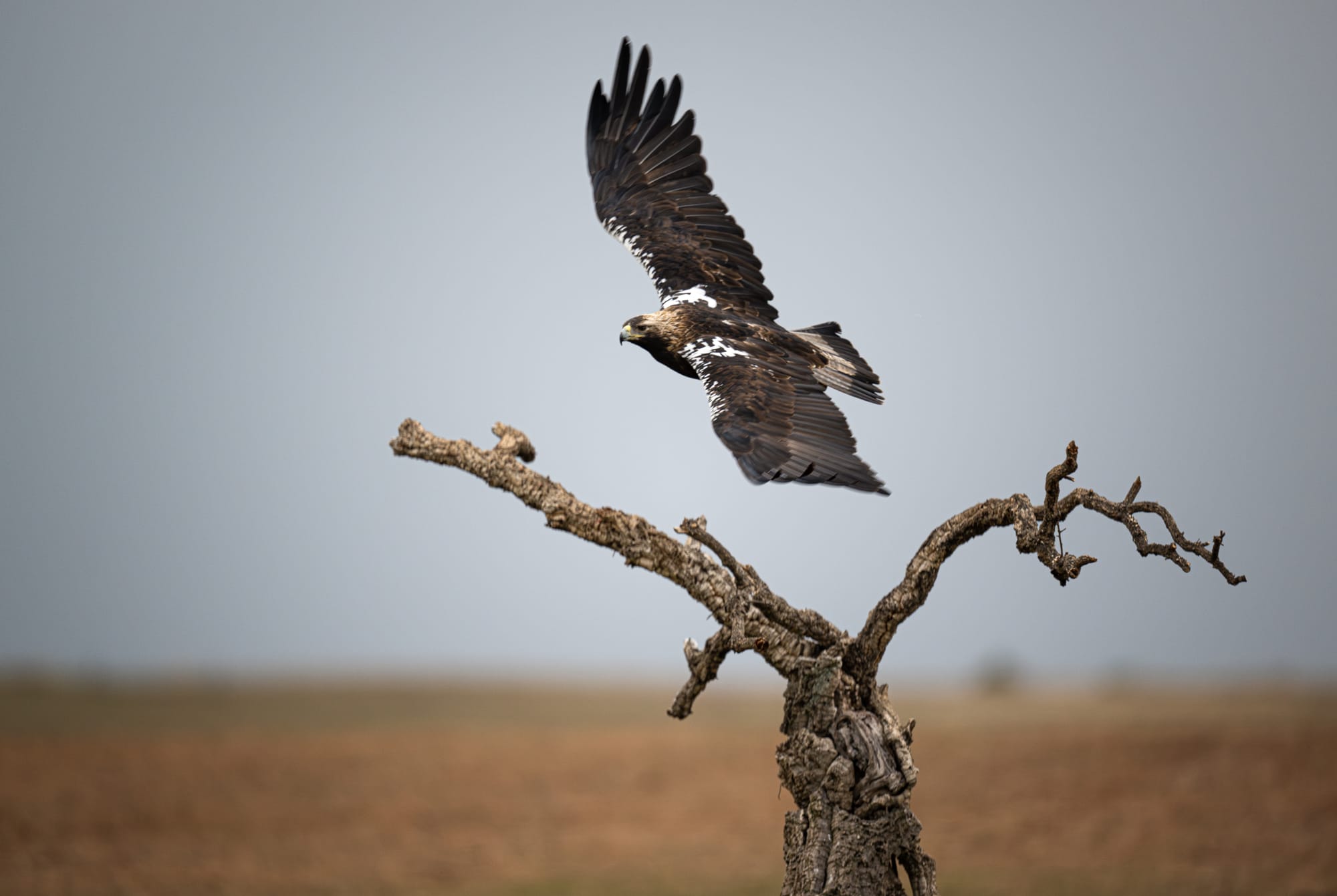 Images from Toledo Province