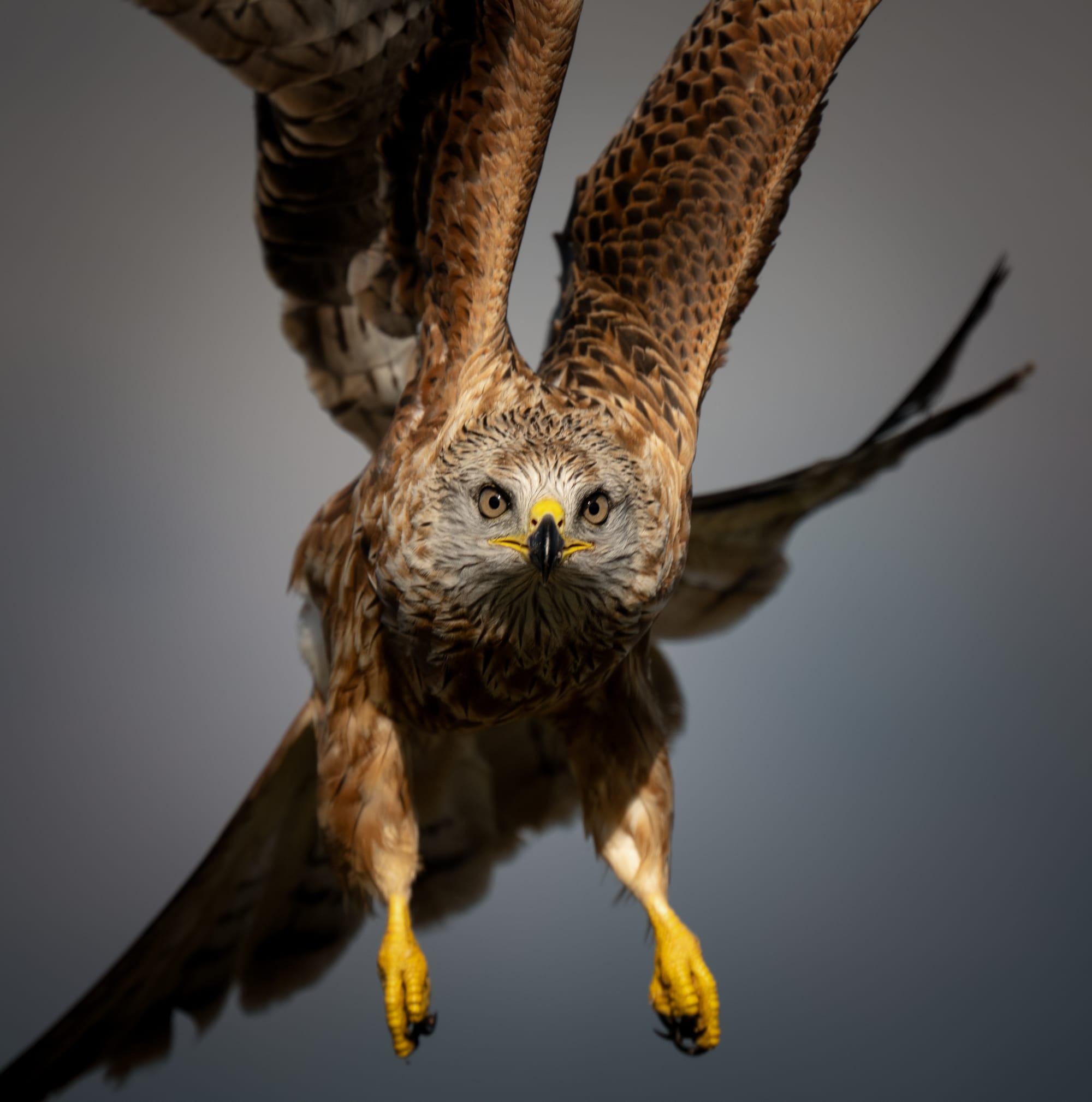 Images from Toledo Province